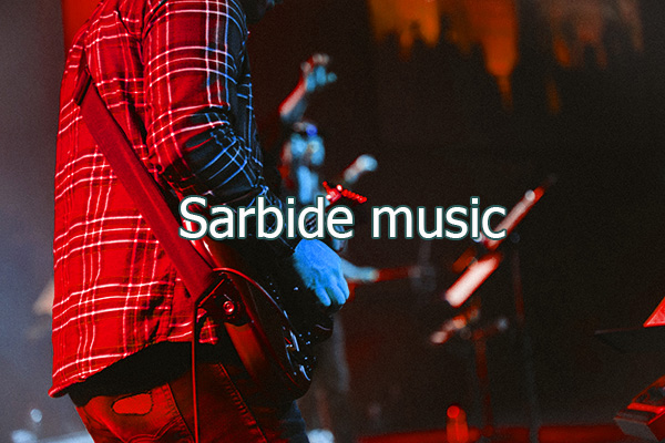 Funda de cartón - Sarbide Music I Fabricación CD, Vinilo LP y distribución  digital para músicos